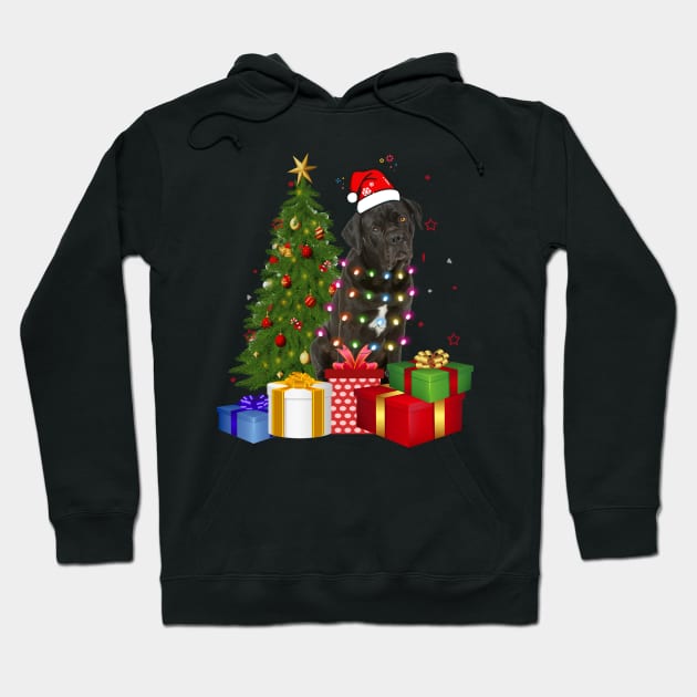 Cane Corso Christmas Tree Santa Hat Funny Xmas Gift Dog Hoodie by CoolTees